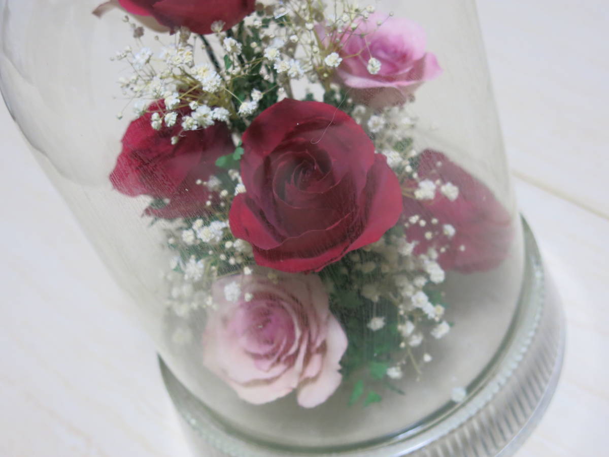 [ прекрасный товар ]Reine De Fleur * Len te поток ru* ручная работа сухой цветок ( роза . rental mi.)* стекло купол 