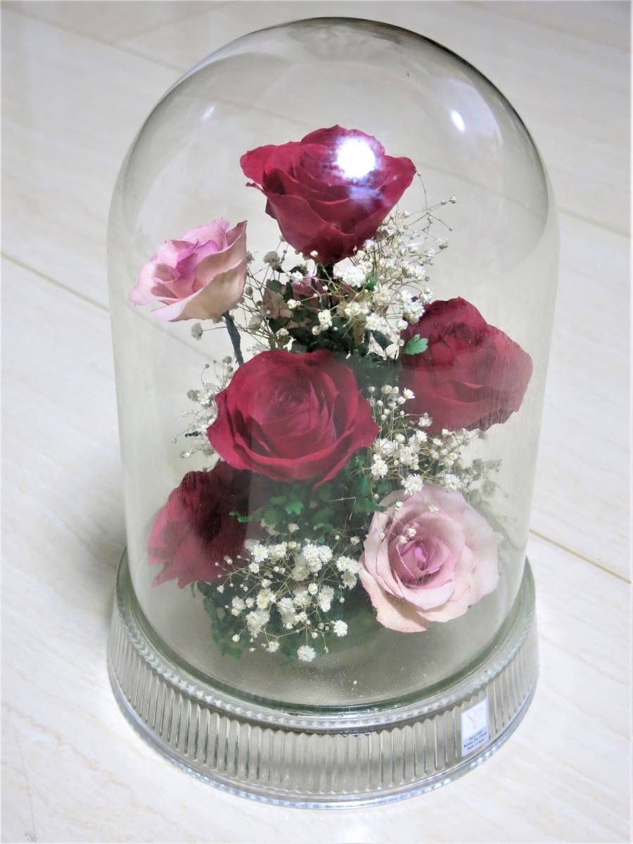 [ прекрасный товар ]Reine De Fleur * Len te поток ru* ручная работа сухой цветок ( роза . rental mi.)* стекло купол 