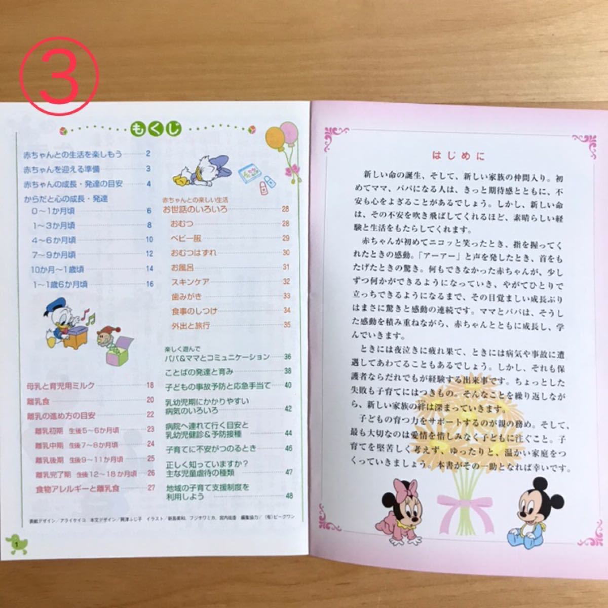 Paypayフリマ 離乳食ガイドブック 出産子育てブック Paypayフリマ 離乳食ガイドブック 出産子育てブック