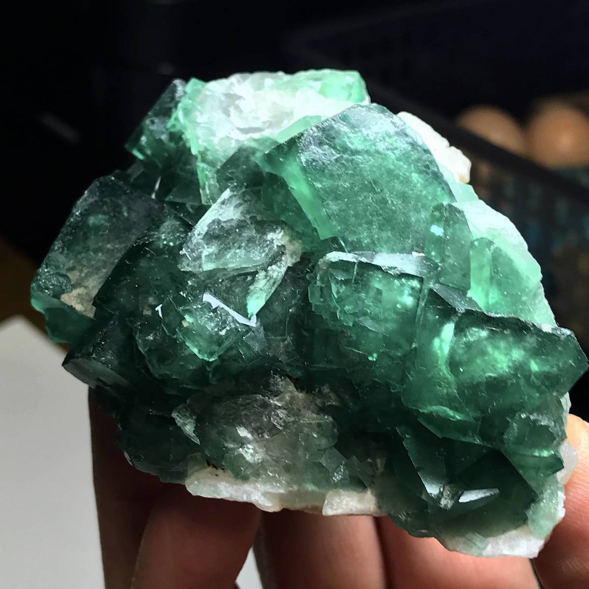 緑色六面体蛍石・295g（マダガスカル産鉱物標本）_画像4