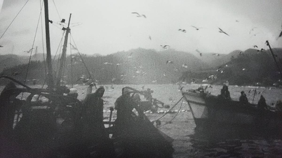 ★新品！　自費出版写真集　漁村の人々～昭和50年代　島根半島。_画像5