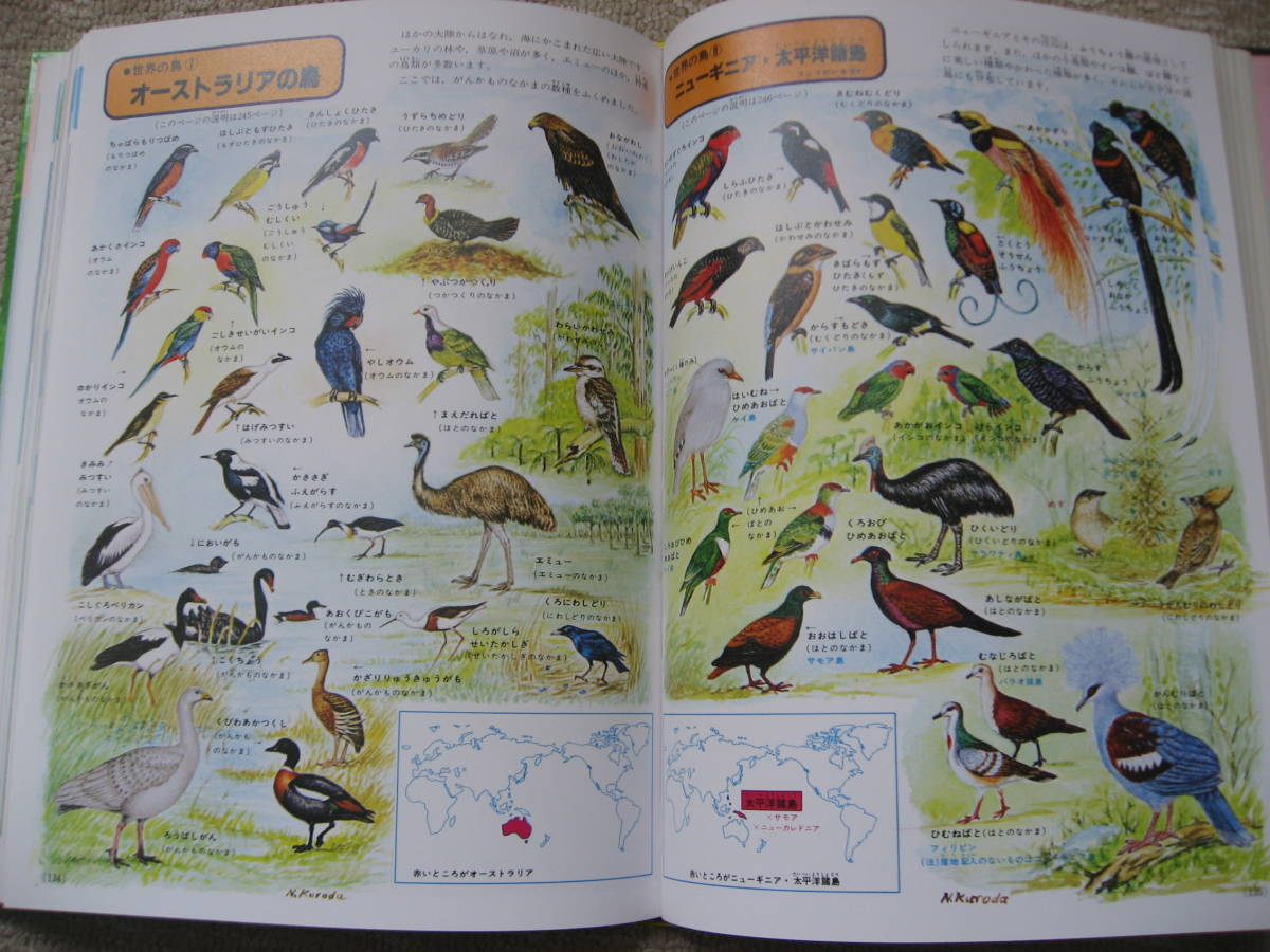 Yahoo!オークション - 鳥類の図鑑 小学館の学習百科図鑑 (共編 Yahoo!オークション - 鳥類の図鑑 小学館の学習百科図鑑 (共編