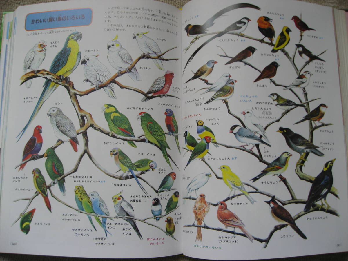 Yahoo!オークション - 鳥類の図鑑 小学館の学習百科図鑑 (共編 Yahoo!オークション - 鳥類の図鑑 小学館の学習百科図鑑 (共編