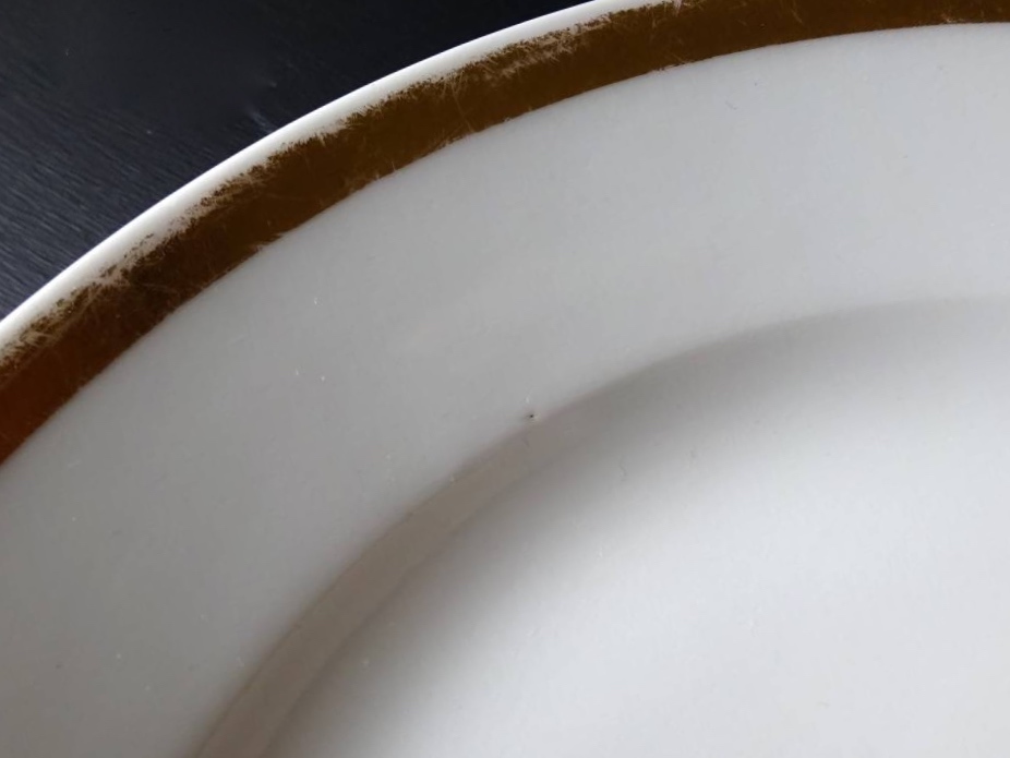 代購代標第一品牌－樂淘letao－フランス19世紀パリ窯金彩リム皿径21.5