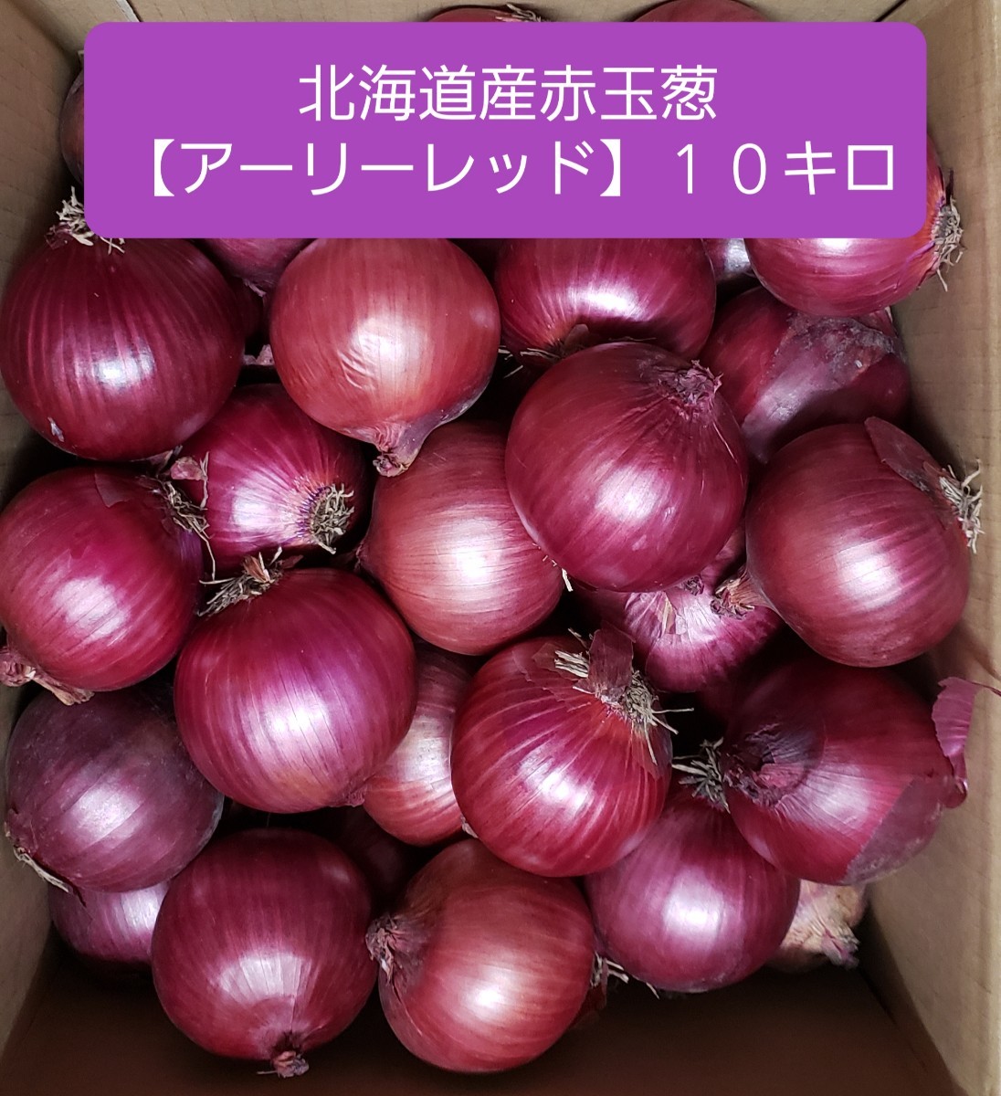 Paypayフリマ 北海道産 赤玉ねぎ アーリーレッド lサイズ 約10キロ Paypayフリマ 北海道産 赤玉ねぎ アーリーレッド lサイズ 約10キロ