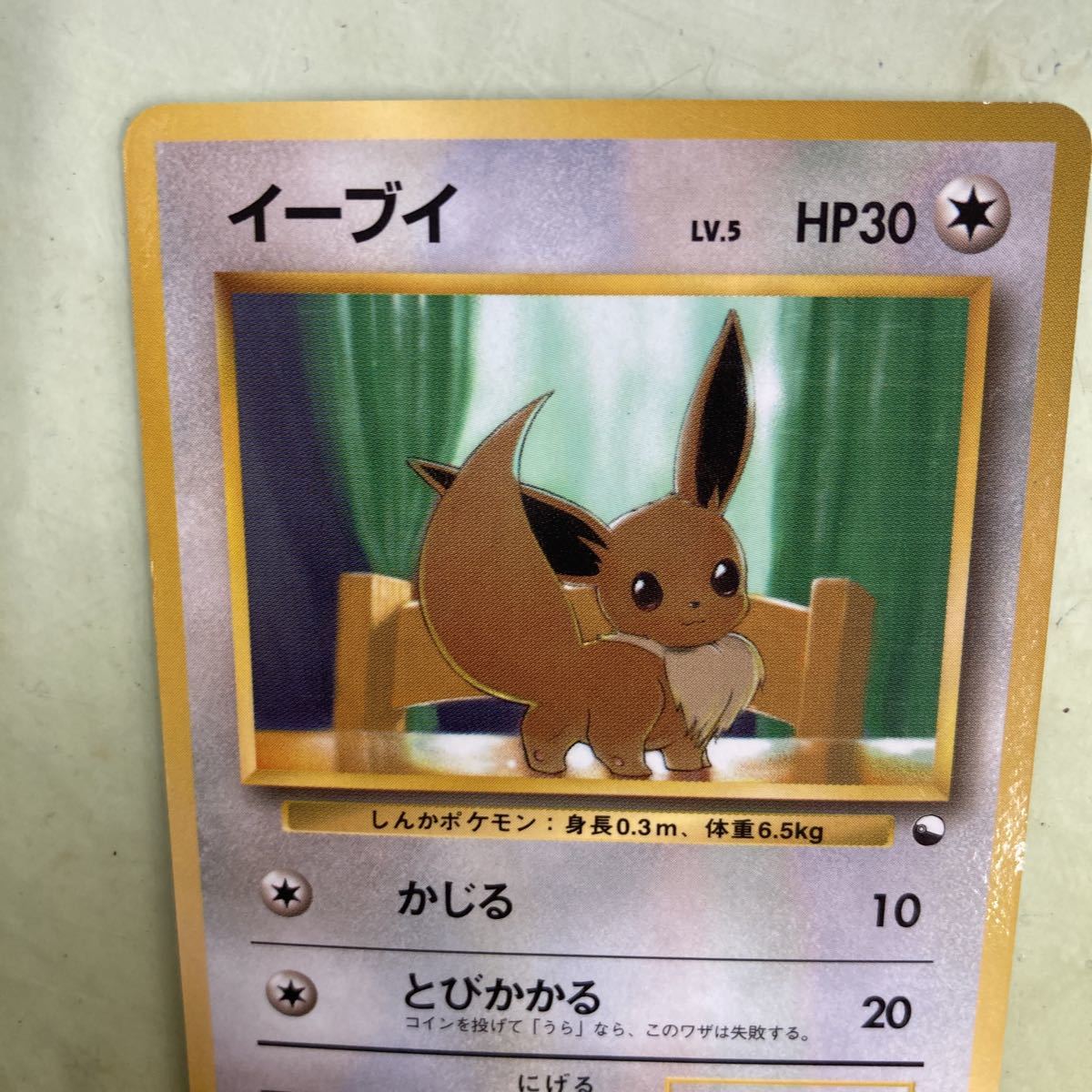 ポケモンカード 旧裏面 イーブイ LV.5 拡張シート 青版 かじる-