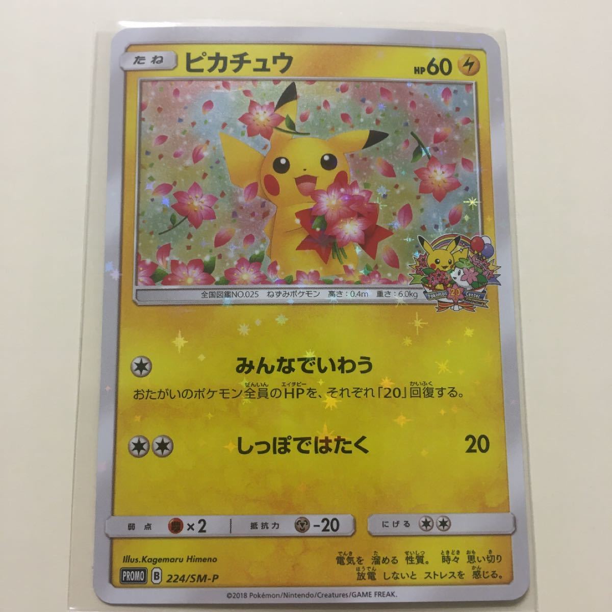 みんなでいわう ピカチュウ PSA9 ポケモンカードゲーム | endageism.com