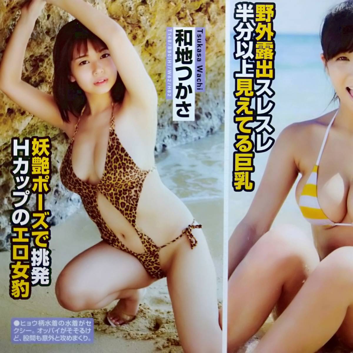 ヤフオク お宝ハプニング 野外水着 柳いろは 葉月あや ヤフオク お宝ハプニング 野外水着 柳いろは 葉月あや