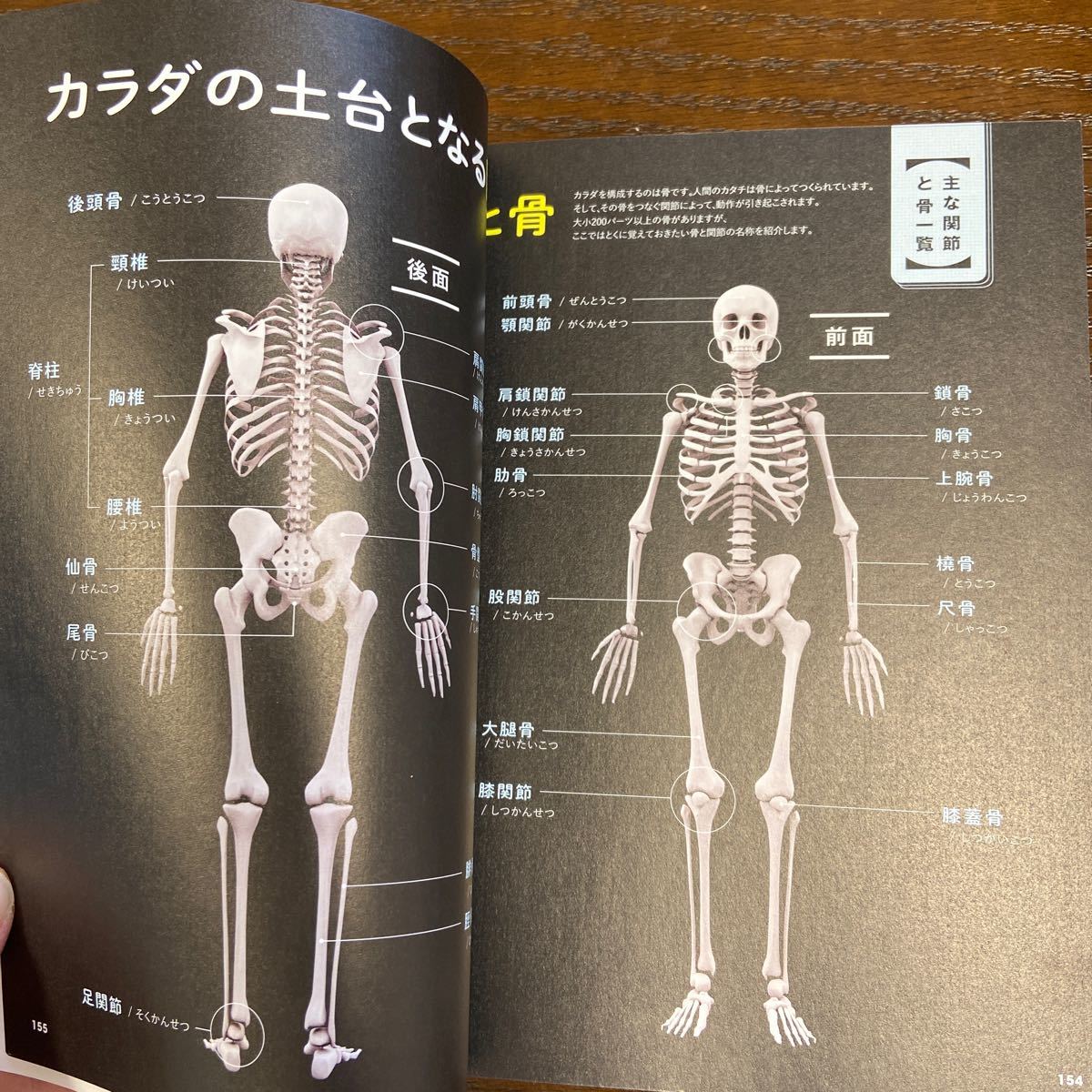 Paypayフリマ 筋肉のしくみ図鑑 筋肉別イラストであっという間にわかる 石山修盟 かたおか朋子 Paypayフリマ 筋肉のしくみ図鑑 筋肉別イラストであっという間にわかる 石山修盟 かたおか朋子
