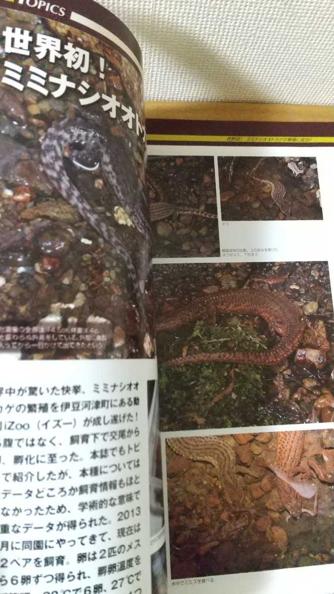  creeper no.72 2015 reptiles amphibia information magazine magazine 