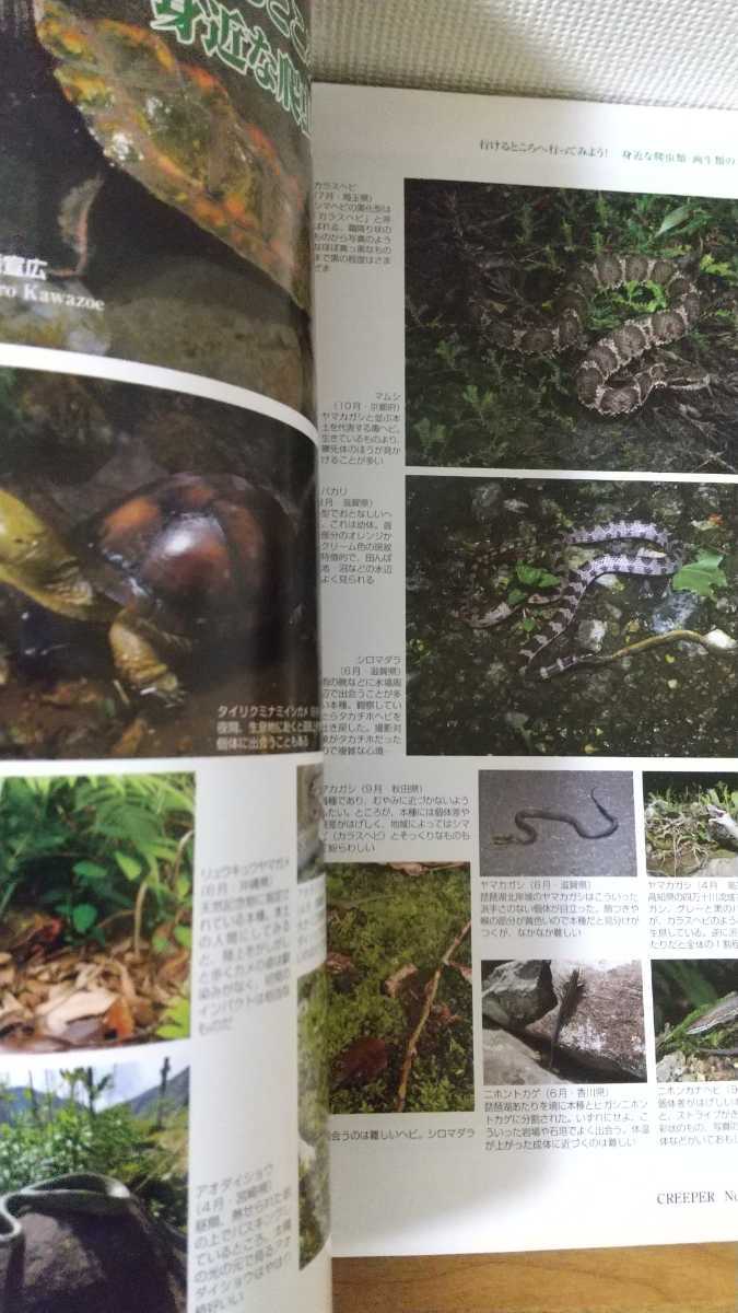  creeper no.72 2015 reptiles amphibia information magazine magazine 