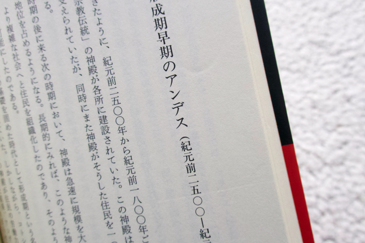 文明の創造力 古代アンデスの神殿と社会 (角川書店) 加藤 泰建・関 雄二編_画像6