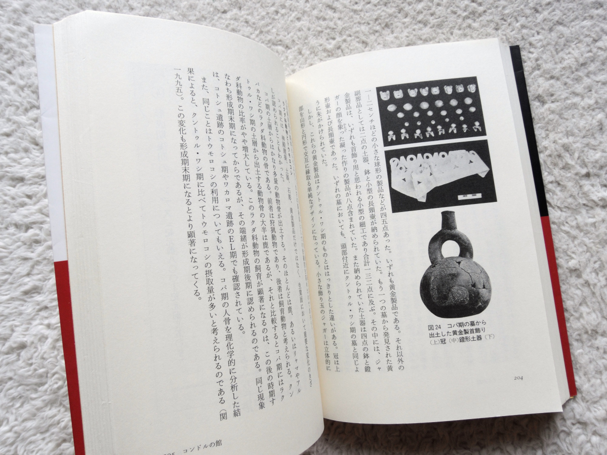 文明の創造力 古代アンデスの神殿と社会 (角川書店) 加藤 泰建・関 雄二編_画像10