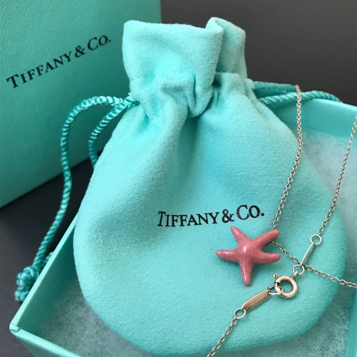 TIFFANY&Co スターフィッシュ ネックレス ロードナイト 925 TIFFANY&Co スターフィッシュ ネックレス ロードナイト 925