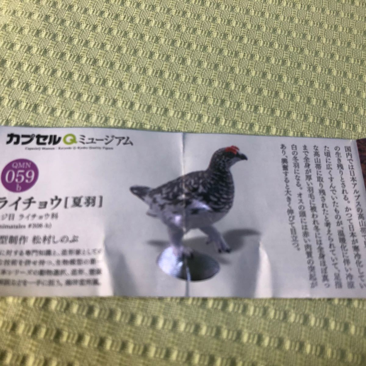 Paypayフリマ 海洋堂 カプセルq ライチョウ 夏羽 日本の動物8 日本アルプス 内袋未開封 Paypayフリマ 海洋堂 カプセルq ライチョウ 夏羽 日本の動物8 日本アルプス 内袋未開封