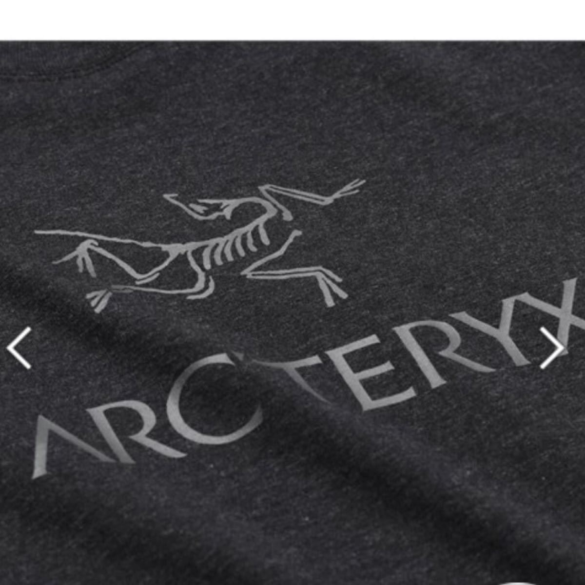 ARCTERYX アークテリクス アークワード Tシャツ メンズ Black Heather L07316500 