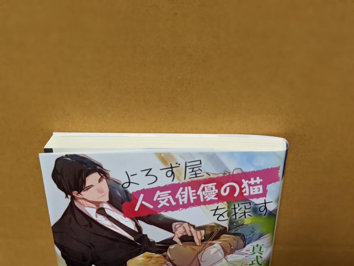 haruki様専用ページです。　　BL小説 よろず屋、人気俳優の猫を探す　真式マキ