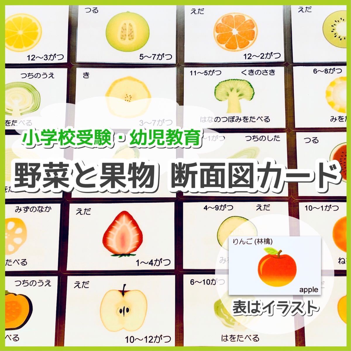 Paypayフリマ 野菜と果物 断面図カード 小学校受験対策 幼児教育