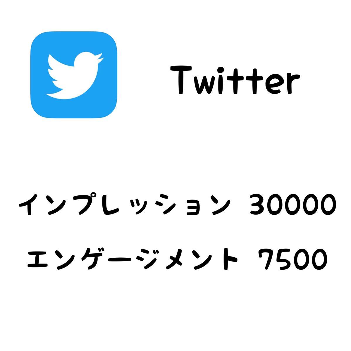 最安 Twitter ツイッター インプレッション 7500 エンゲージメント 新品本物 30000 最大72％オフ！ 増加