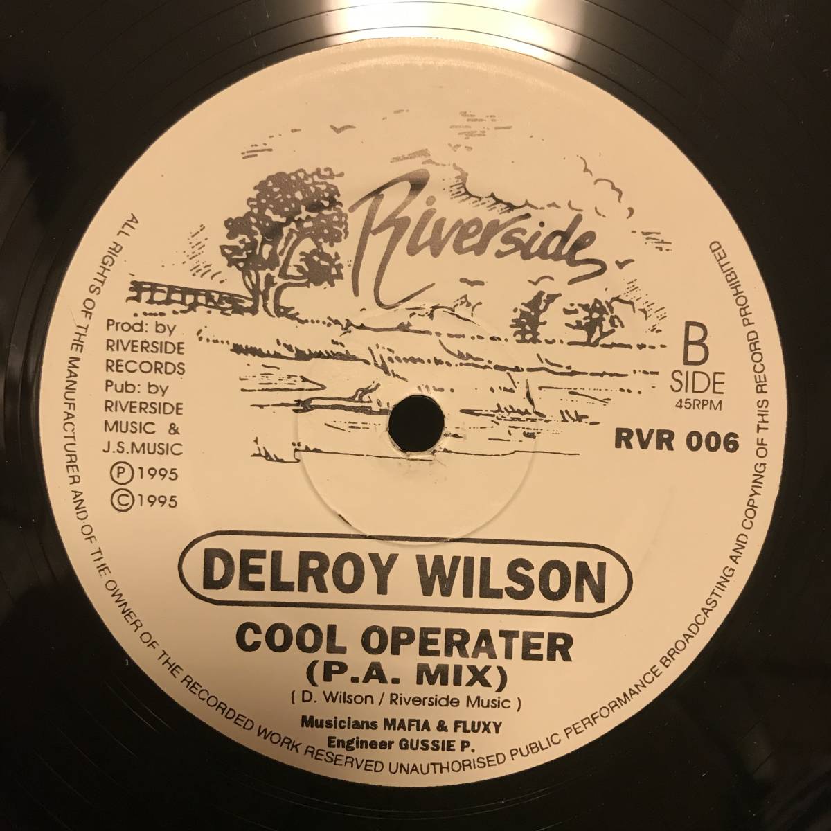 DELROY WILSON / COOL OPERATER_画像2