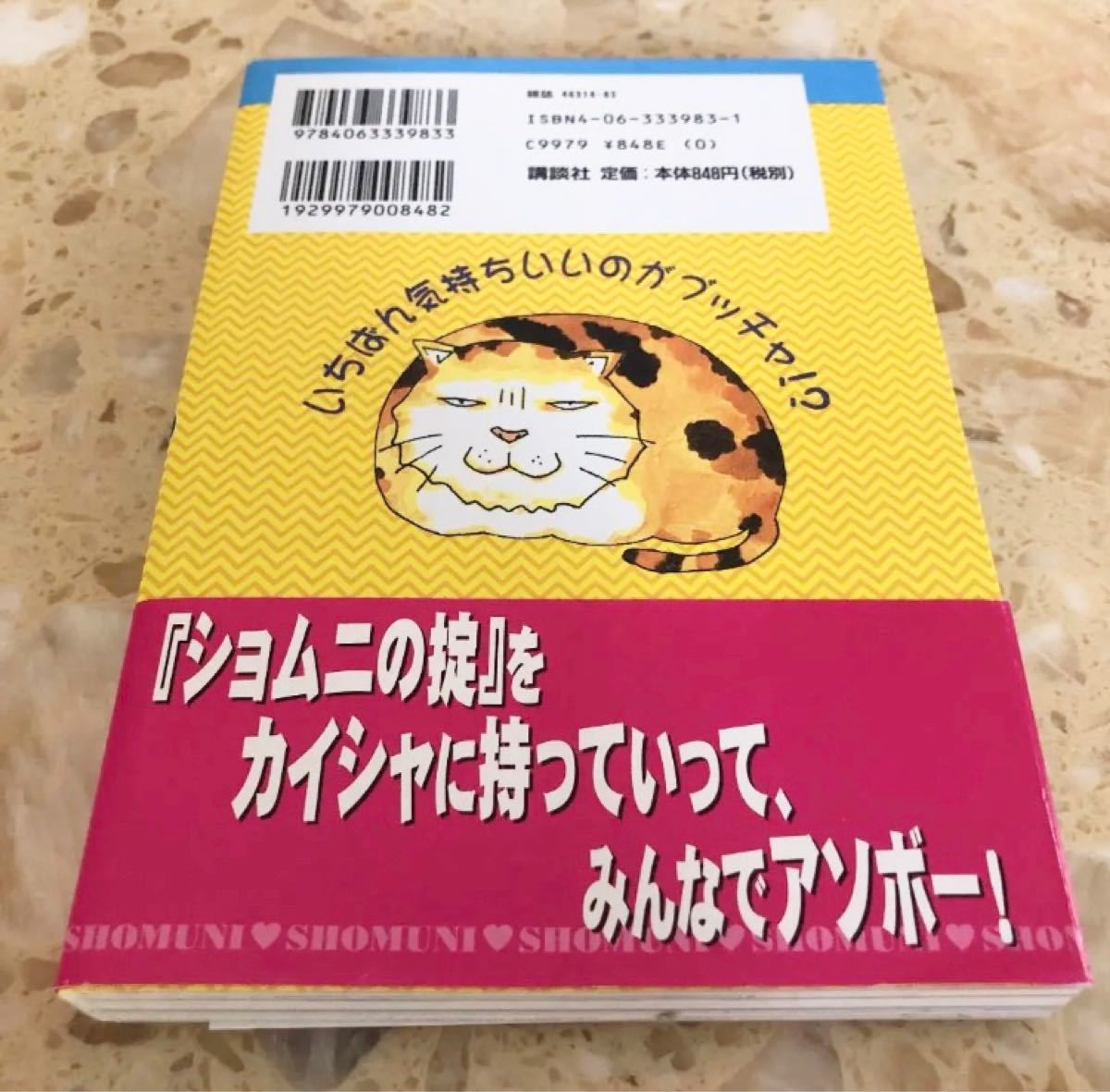 「B級コメディBOOK ショムニの掟」 安田弘之 モーニング　江角マキコ　帯付き　本　マンガ　まんが　漫画