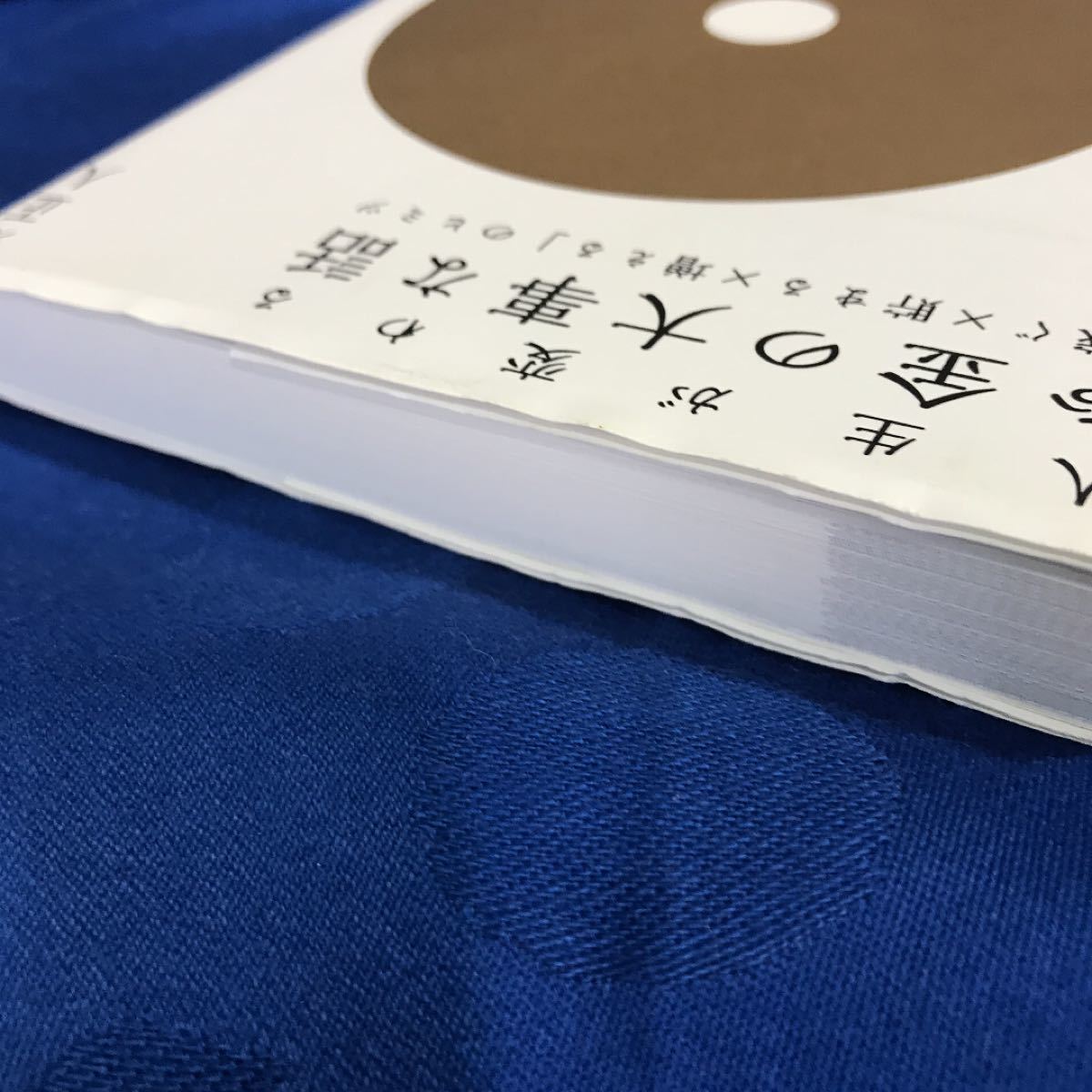 お金の大事な話 : 「稼ぐ×貯まる×増える」のヒミツ : 人生が変わる : 目…