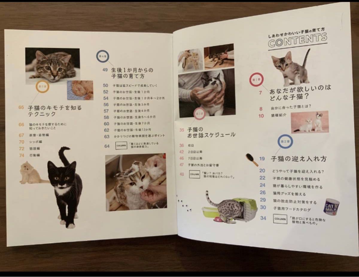 Paypayフリマ しあわせかわいい子猫の育て方 本 ねこ こねこ 飼い方 ねこのきもち Paypayフリマ しあわせかわいい子猫の育て方 本 ねこ こねこ 飼い方 ねこのきもち