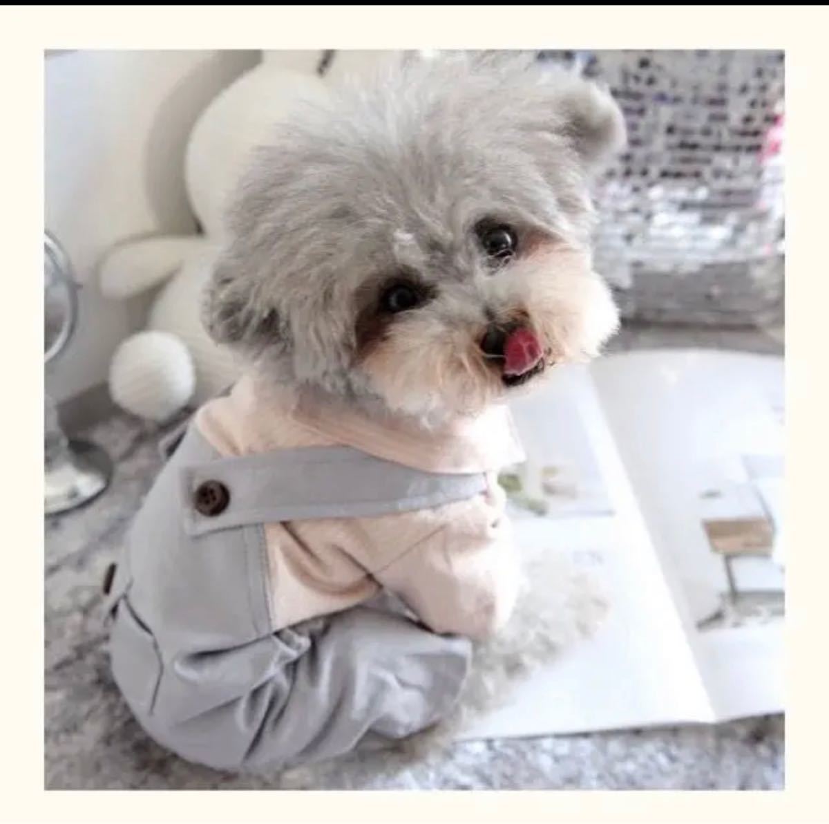 Paypayフリマ 犬服 ドッグウェア 小型犬 ペット服 ロンパース オシャレ 犬用品 可愛い Paypayフリマ 犬服 ドッグウェア 小型犬 ペット服 ロンパース オシャレ 犬用品 可愛い