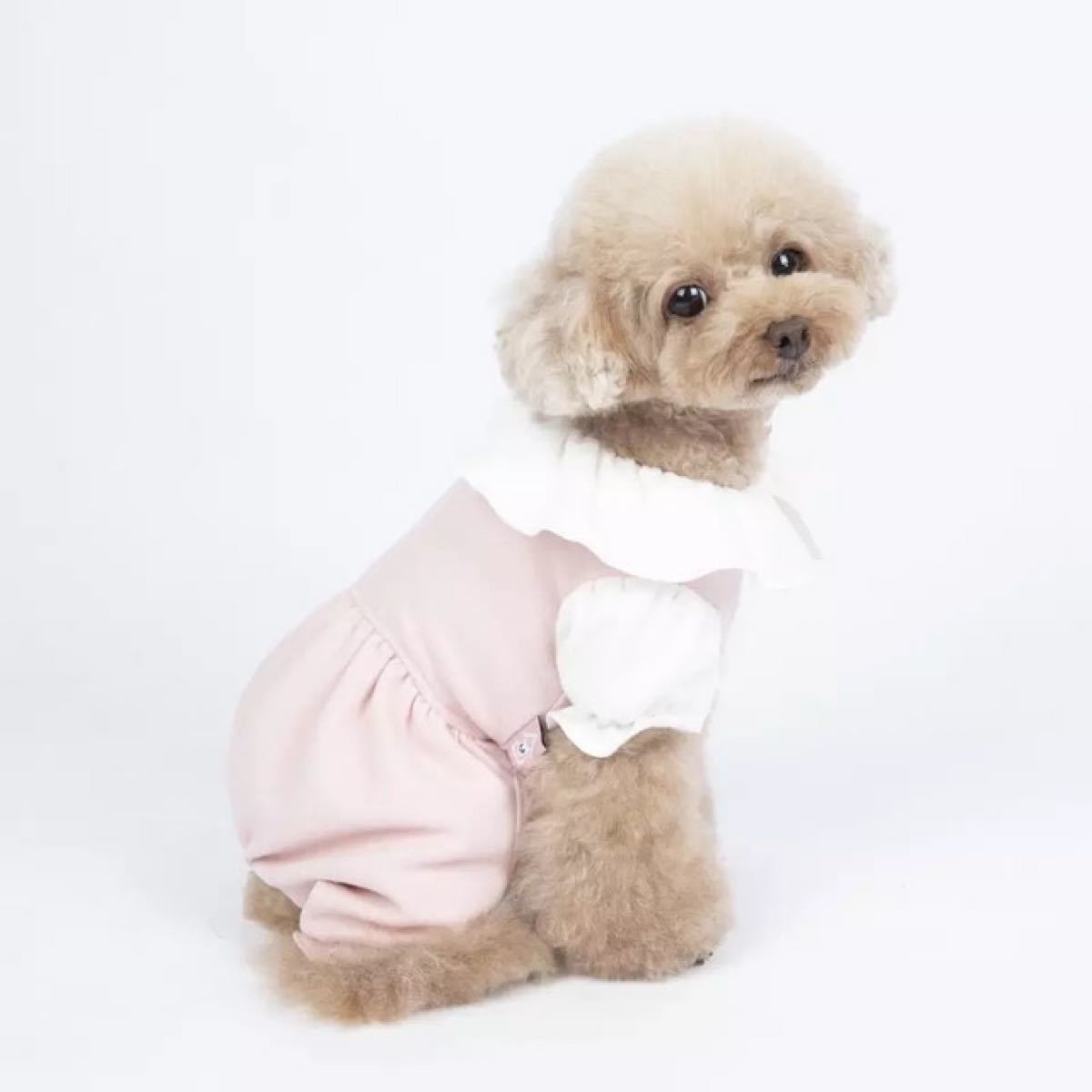 Paypayフリマ 犬服 ペット服 ドッグウェア 可愛い オシャレ 犬用品 ロンパース Paypayフリマ 犬服 ペット服 ドッグウェア 可愛い オシャレ 犬用品 ロンパース