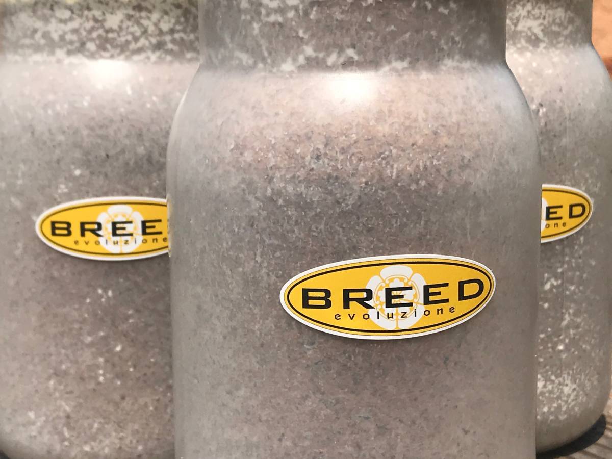 高品質・高性能　BREED菌糸ビン　1100ml　180本セット　特価（ブリード　菌糸瓶　菌床）希望本数可能_出来立ての新鮮な菌糸ビンをお届け