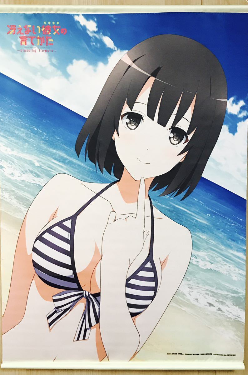 ヤフオク 加藤恵 B2 タペストリー Ps Vita 冴えない彼女の ヤフオク 加藤恵 B2 タペストリー Ps Vita 冴えない彼女の