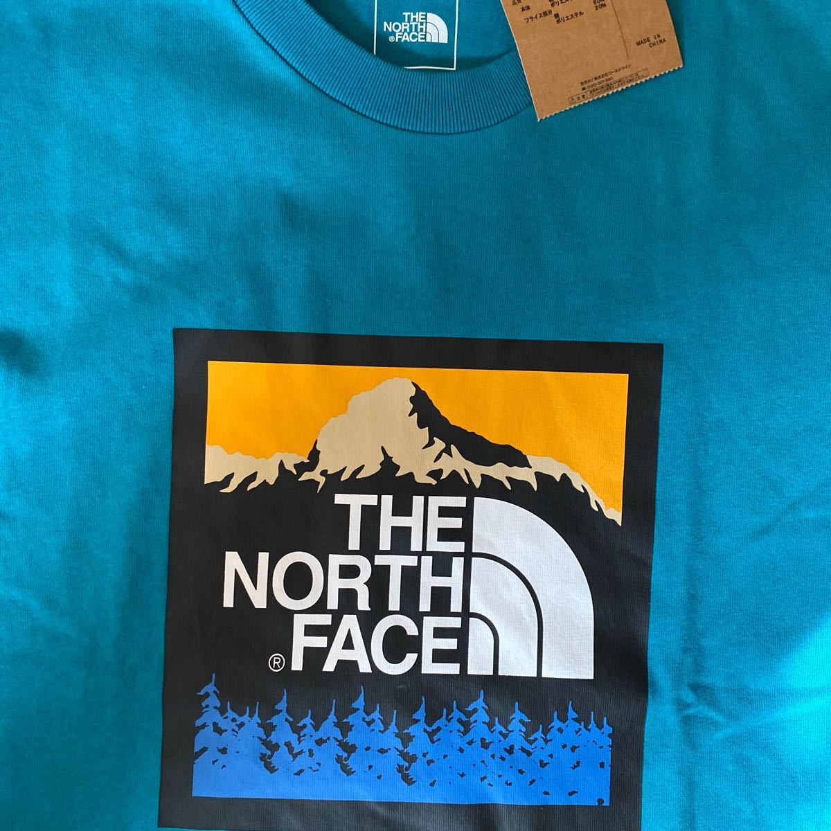 THE NORTH FACE ノースフェイス　 Tシャツ　L