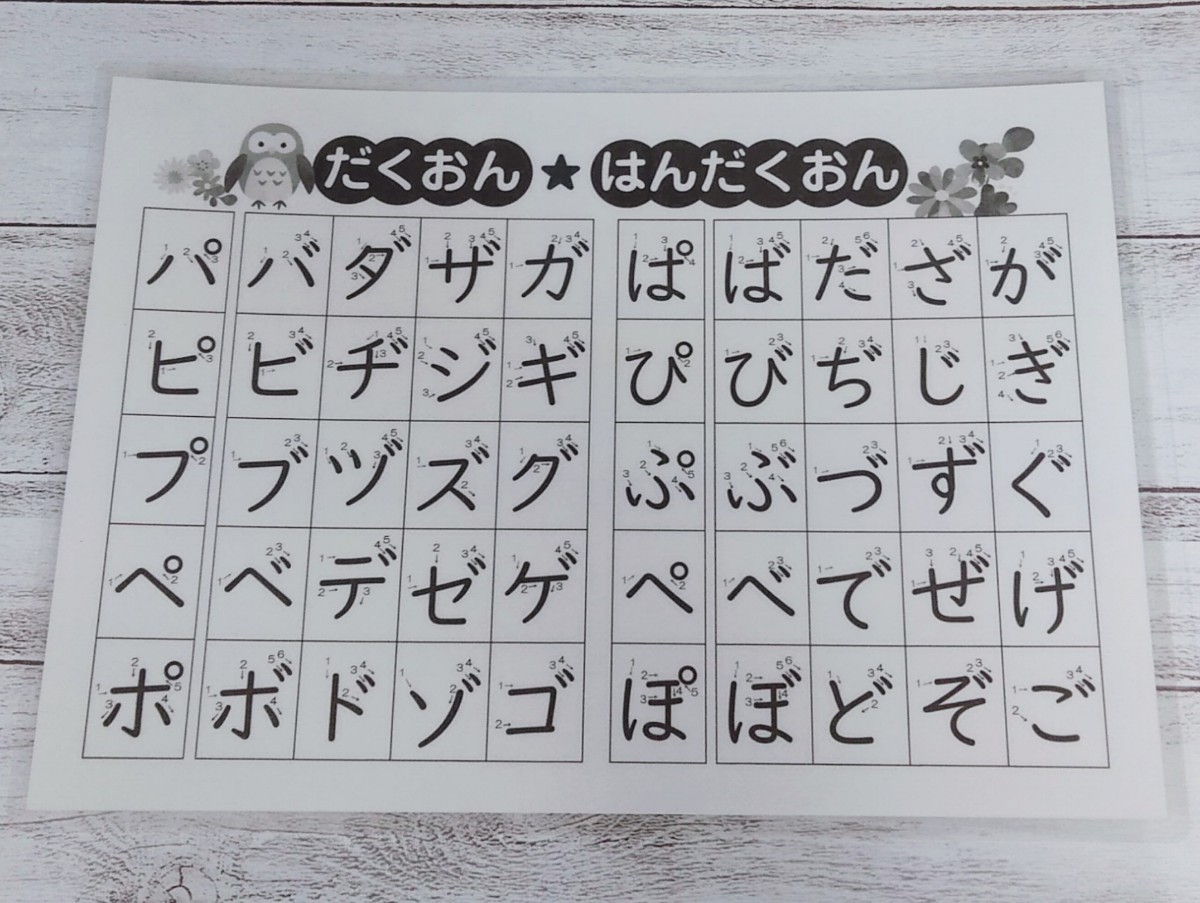 Paypayフリマ 文字練習 ひらがなカタカナ練習 就学準備 家庭学習 知育 療育