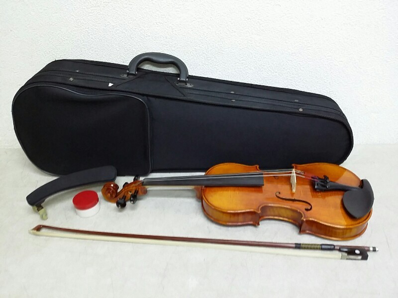 激安直営店 Dantegiordano 1/2 バイオリン 弦楽器 バイオリン ハード