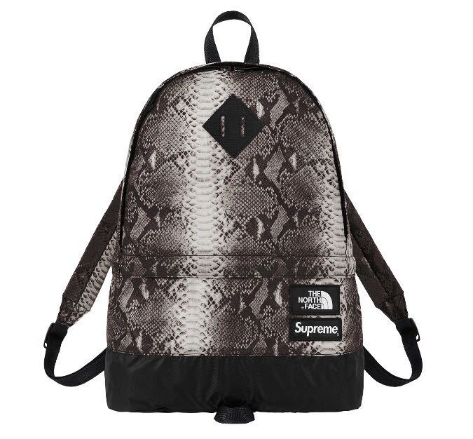 国内正規品 新品未使用 Supreme 18ss シュプリーム ×THE NORTH FACE SNAKE LIGHTWEIGHT DAYPACK  シュプリーム デイパック ブラック 黒