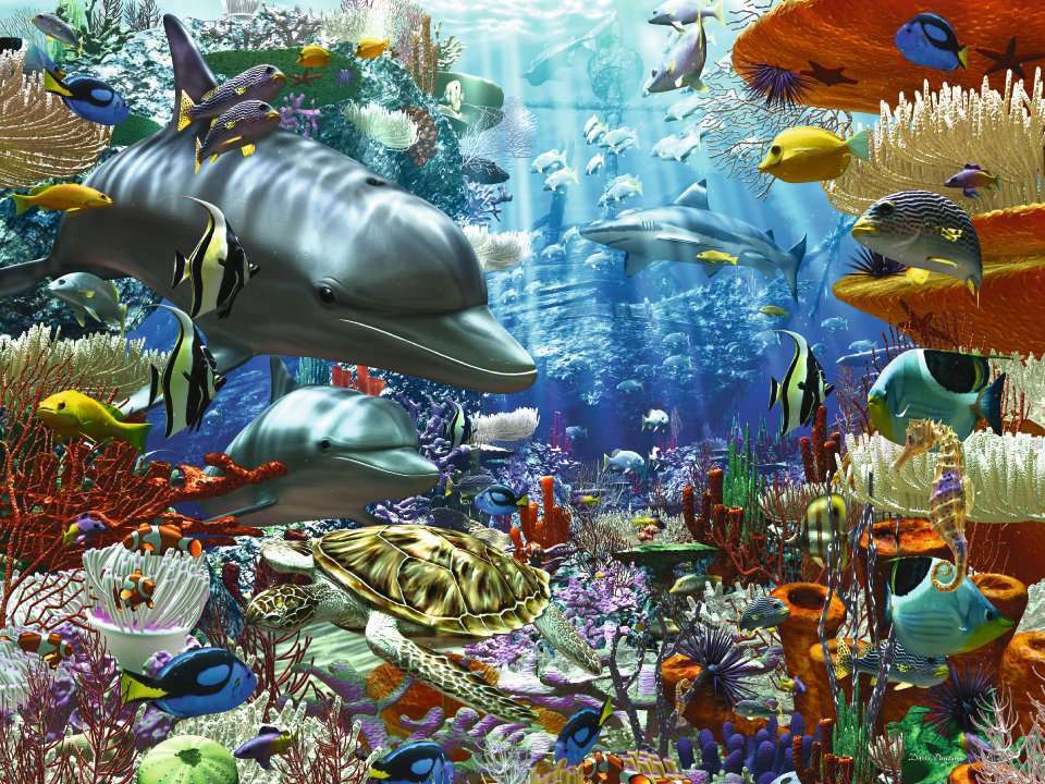 17027●3000ピース ジグソーパズル ドイツ発売●RV●美しい水中世界 イルカ ウミガメ 魚 Oceanic Wondersの画像2