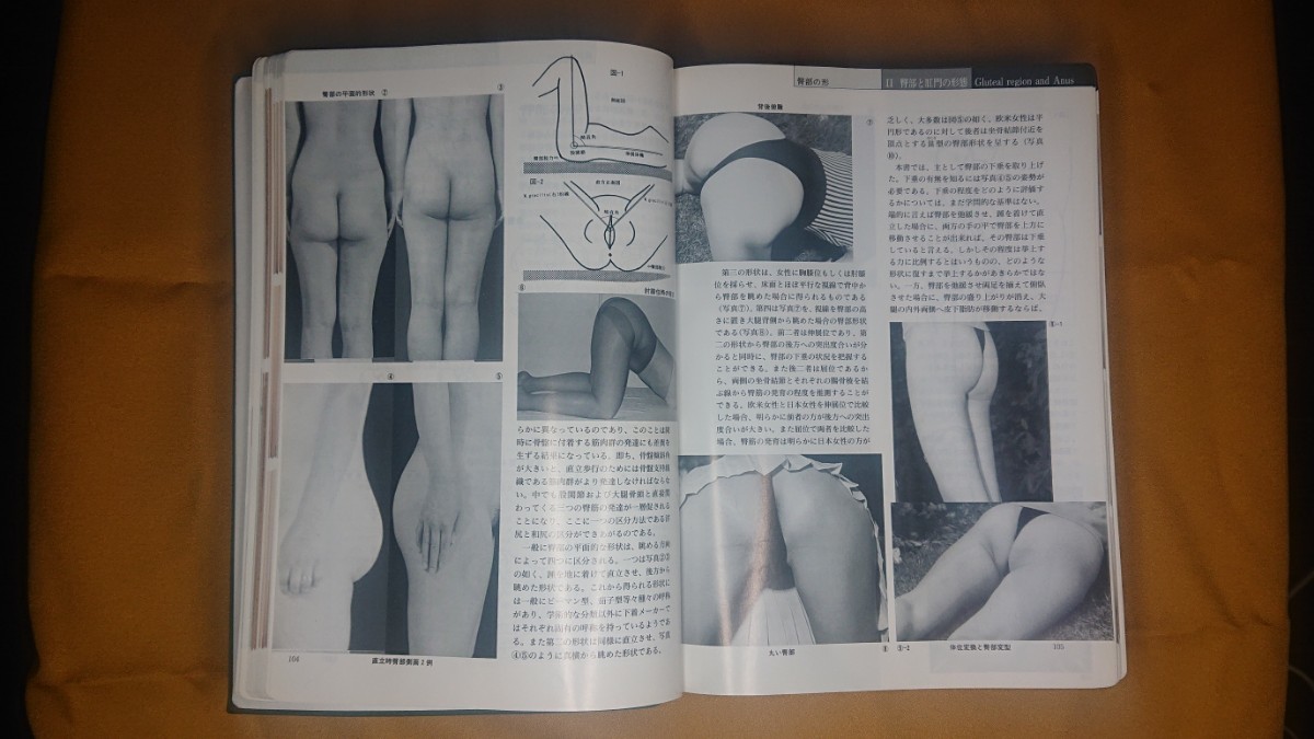 増補改訂版笠井資料 日本女性の外性器 統計学的形態論(増補改訂版日本性科学体系Ⅴ)