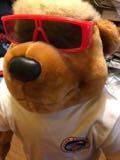 Сделано в 1990 году талисмана Beach Boys Bear Plush