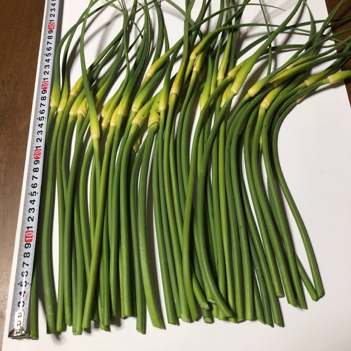 Paypayフリマ ニンニクの芽 摘みたて 450g Paypayフリマ ニンニクの芽 摘みたて 450g