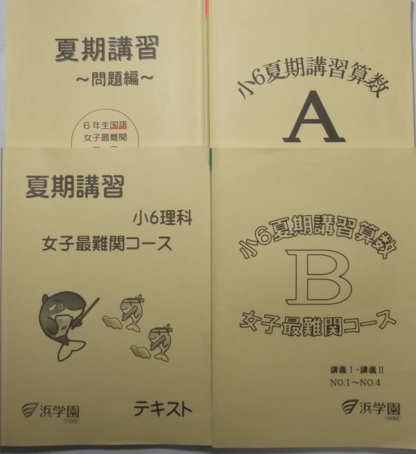 ☆新春福袋2022☆ (最新)浜学園 (2020年度) (国語・算数・理科) 女子最