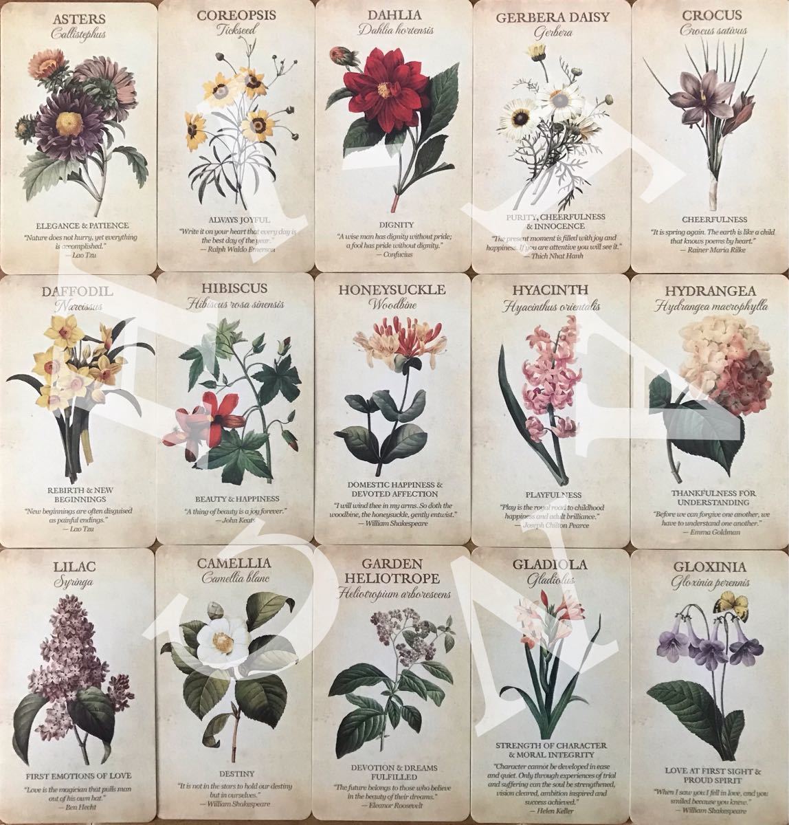 Paypayフリマ Botanical Inspirations オラクルカード 花 カード