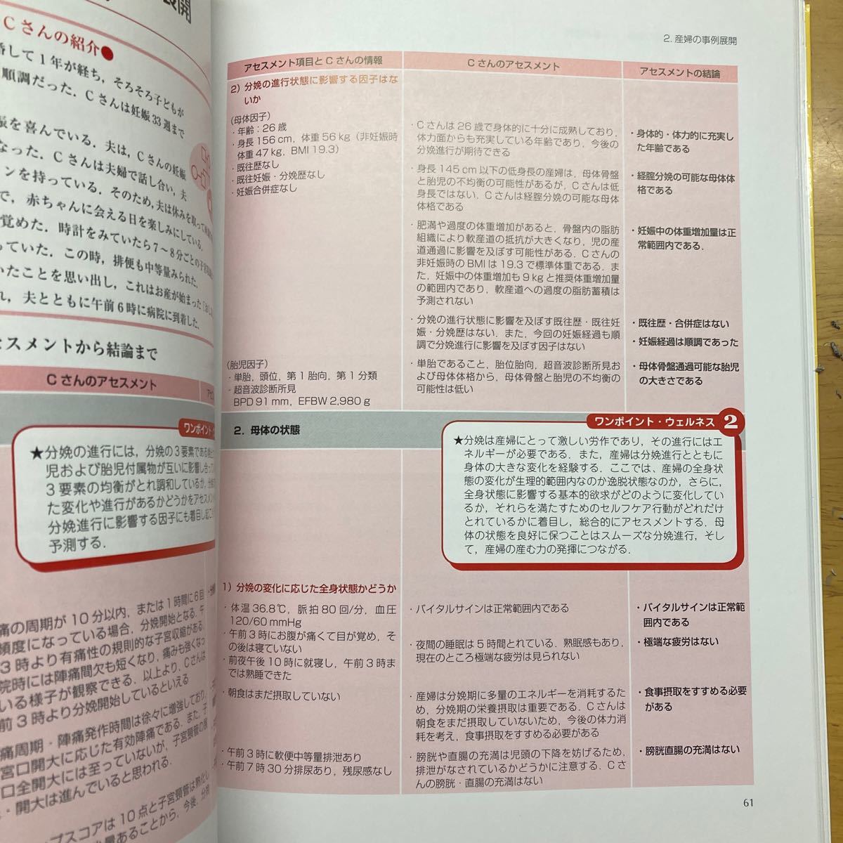 ウェルネス看護診断にもとづく母性看護過程