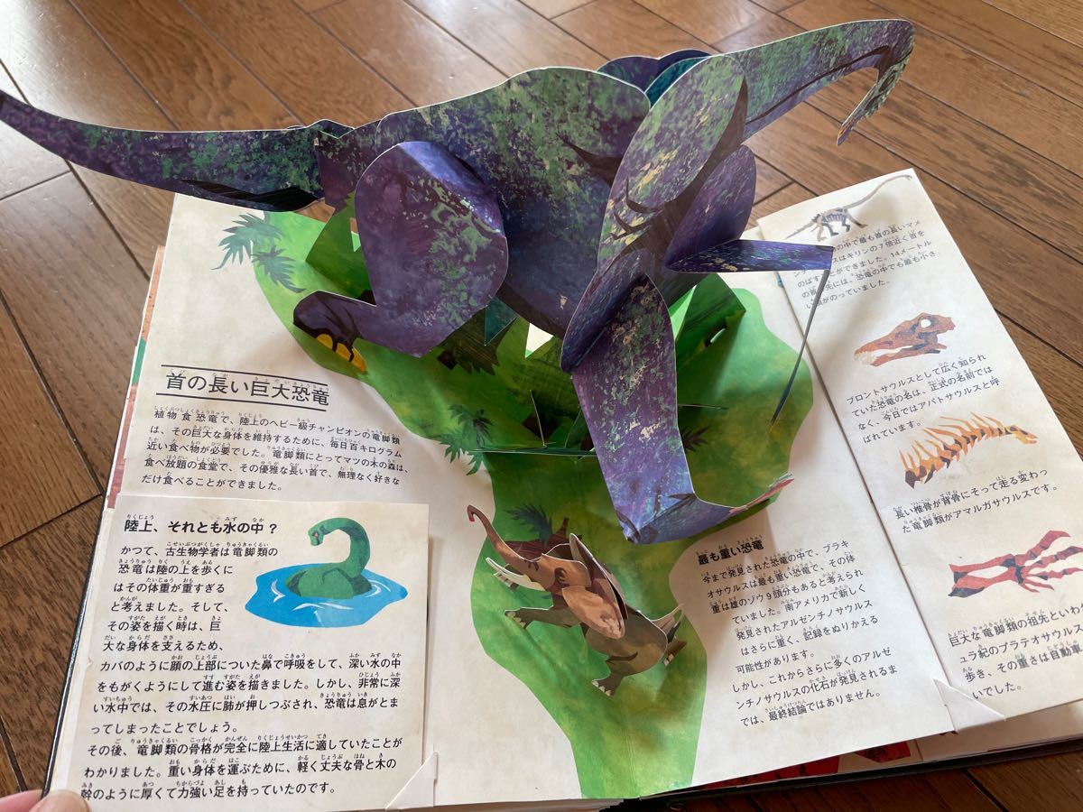 Paypayフリマ 恐竜時代 飛び出す絵本 Paypayフリマ 恐竜時代 飛び出す絵本