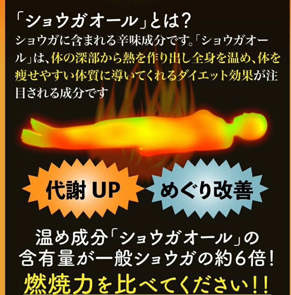 Paypayフリマ グラマープレミアムダイエット 口コミ好評価 美バスト ダイエット ショウガオール Paypayフリマ グラマープレミアムダイエット 口コミ好評価 美バスト ダイエット ショウガオール