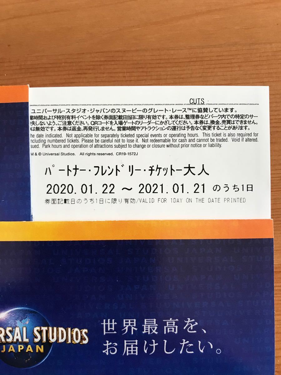 ユニバーサルスタジオジャパン USＪ ペアチケット 入場券 パス二枚