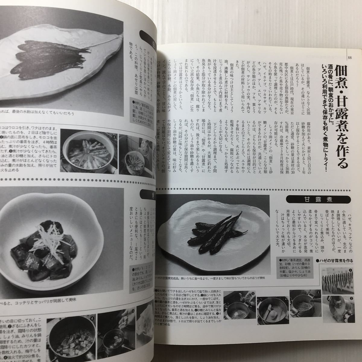 zaa-138♪釣魚のおいしい料理法―アイデア家庭料理から本格和食まで多彩なレシピ満載 (Rod and Reel選書 HOLIDAY fishing) 1997/4/1