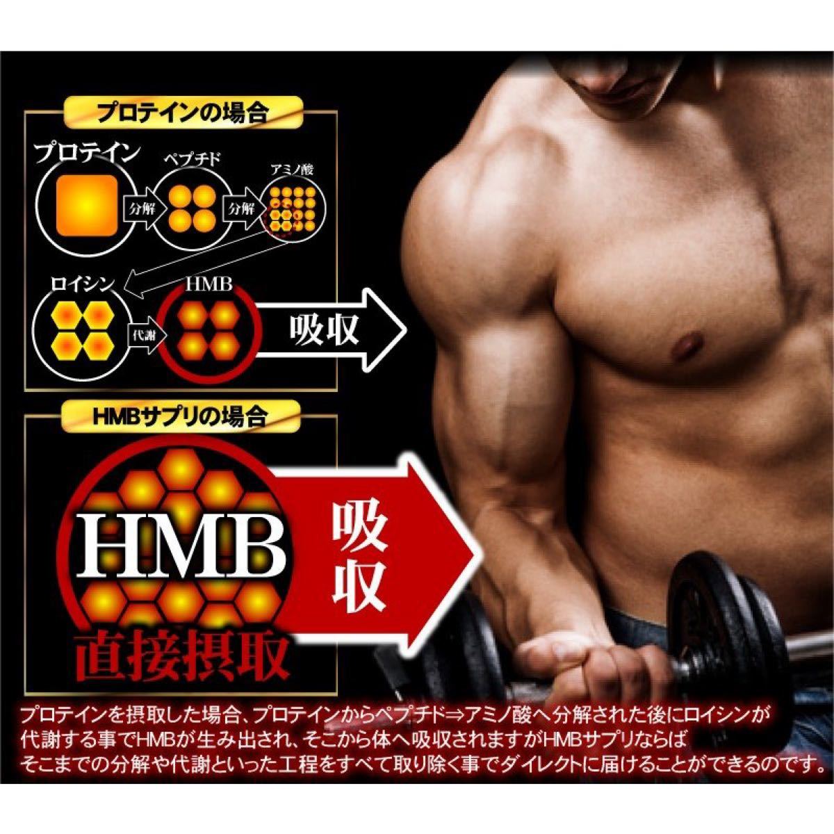 Paypayフリマ Hmbサプリ ダイエット 筋トレ Hmb アスリートゴールド ファイラ 鍛神