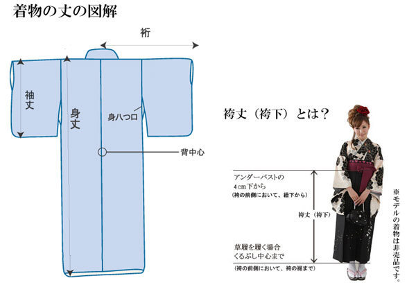 二尺袖 着物 袴フルセット 半身仕立て 黒×ベージュ 袴変更可能 着物丈はショート丈 新品（株）安田屋 NO32159_画像7