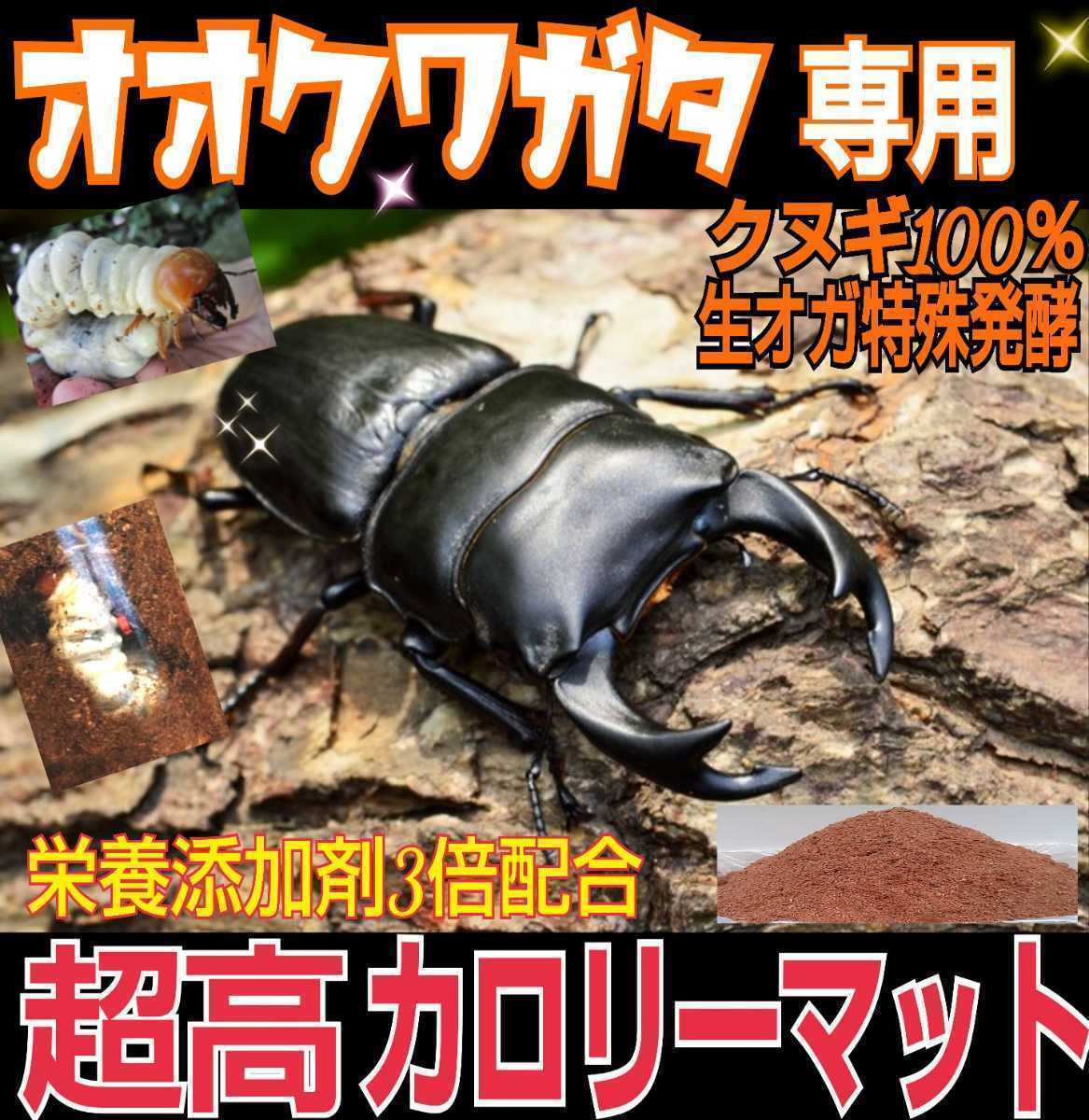 オオクワガタ専用☆超高カロリーマット☆生オガを特殊発酵！共生バクテリア・特殊アミノ酸など栄養添加剤を３倍配合☆クヌギ１００％原料！_画像9