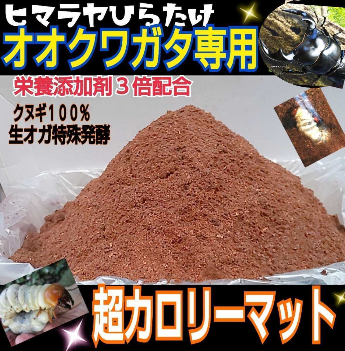 オオクワガタ専用☆超高カロリーマット☆生オガを特殊発酵！共生バクテリア・特殊アミノ酸など栄養添加剤を３倍配合☆クヌギ１００％原料！_画像4